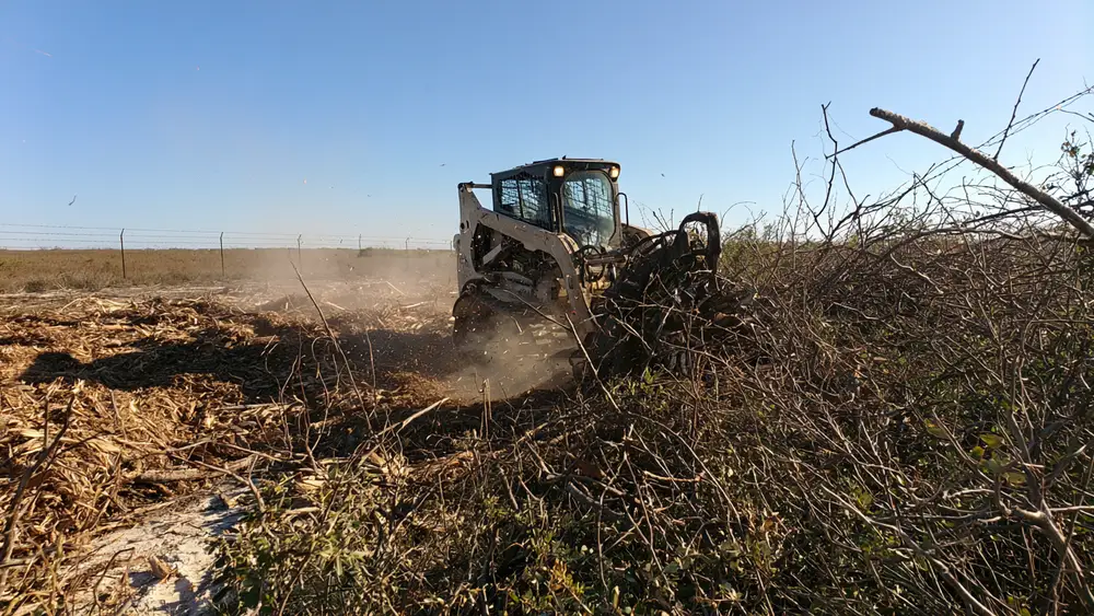 Overgrown mesquite and brush being cleared from a Rio Grande Valley lot