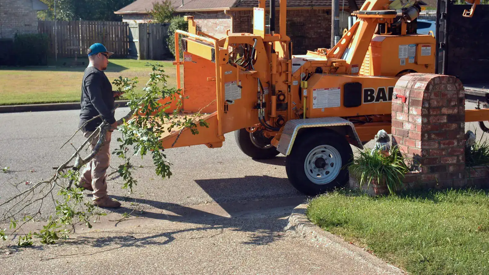 Professional tree service crew working in the Rio Grande Valley